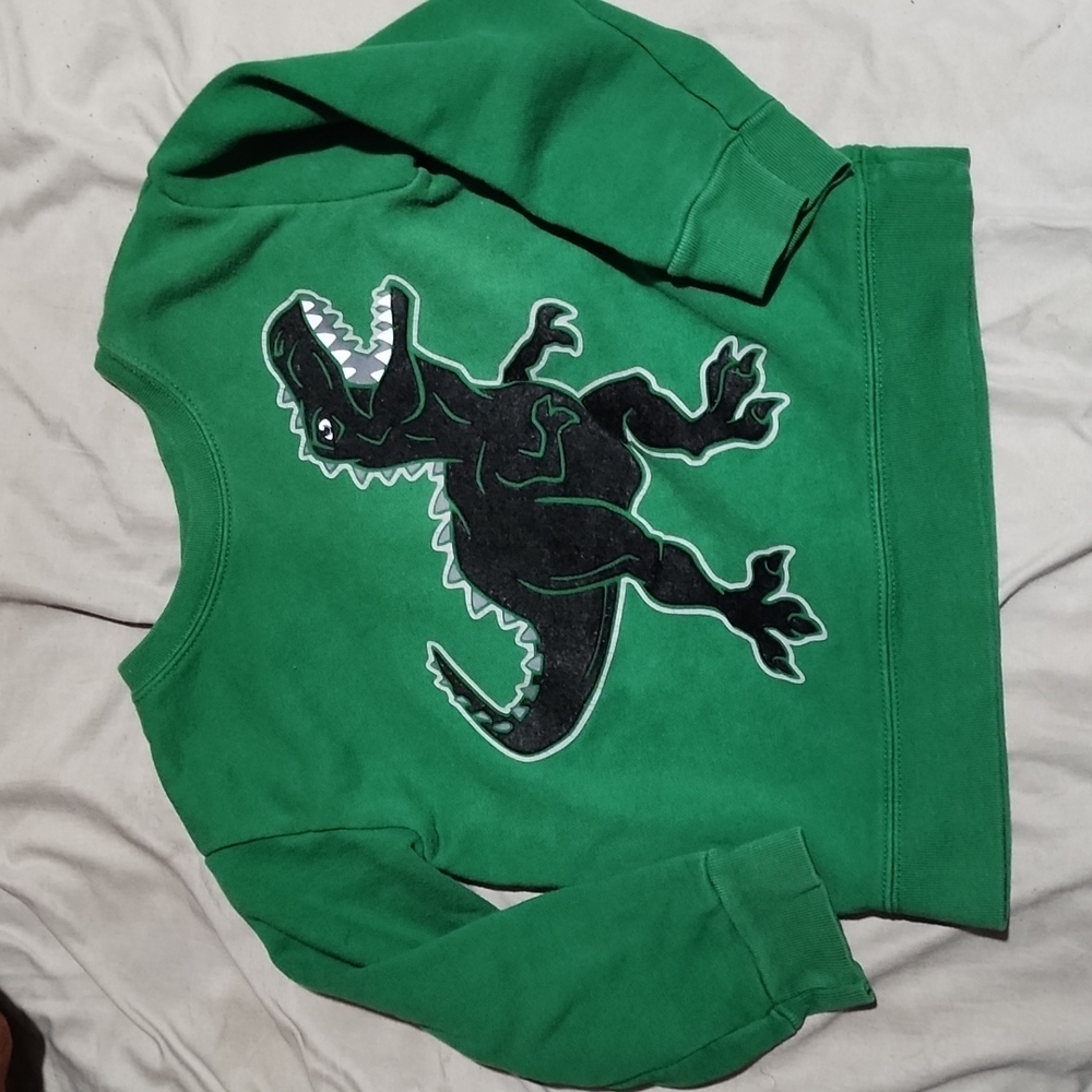 Long sleeve  Dinosaur shirt
